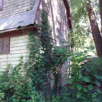 4200156_0014 (2).jpg